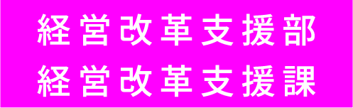 経営改革支援部経営改革支援課